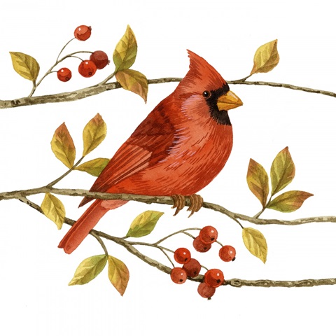 Birds and Berries III