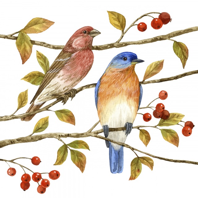 Birds and Berries IV