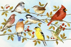 Birds and Berries V