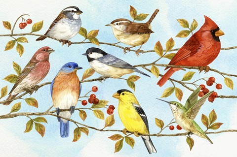 Birds and Berries V