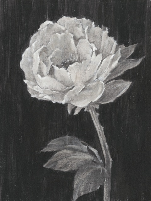 Black and White Flowers II