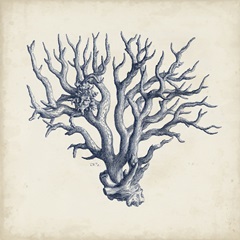 Coral Trio in Indigo I