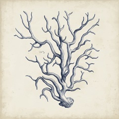 Coral Trio in Indigo III