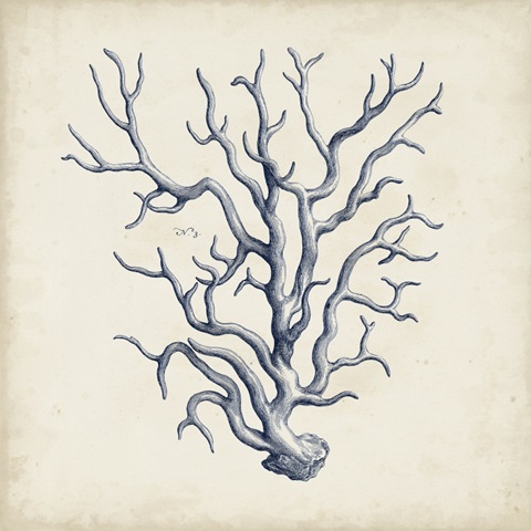 Coral Trio in Indigo III