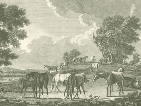 Equestrian Scenes I