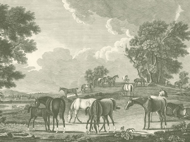 Equestrian Scenes I