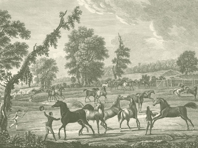 Equestrian Scenes III
