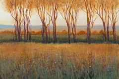 Glow in the Afternoon II