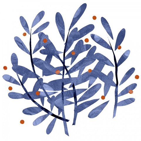 Botanical Impressions I