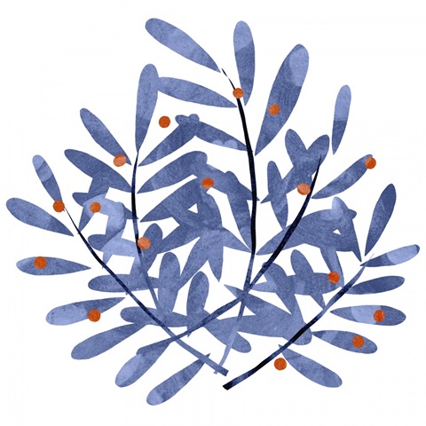 Botanical Impressions II