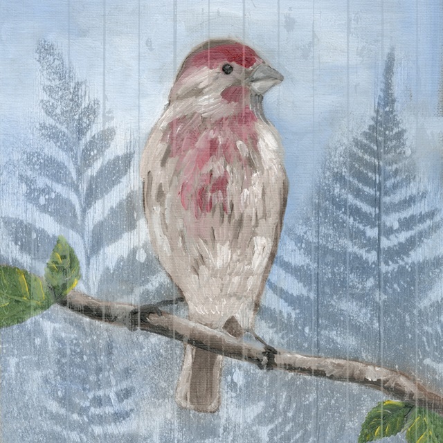 Eastern Songbird I
