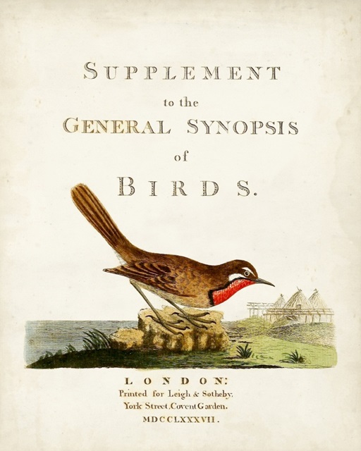 General Synopsis of Birds