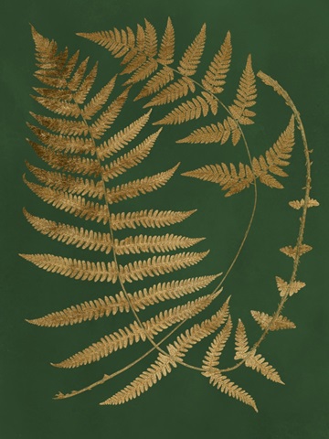 Gilded Ferns IV