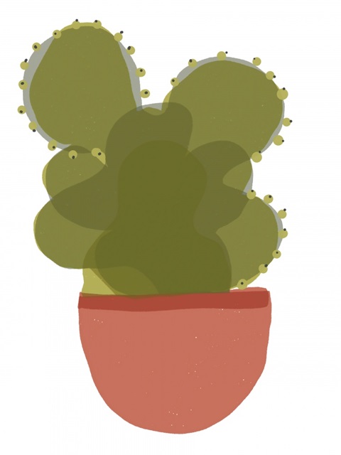 Mod Cactus II