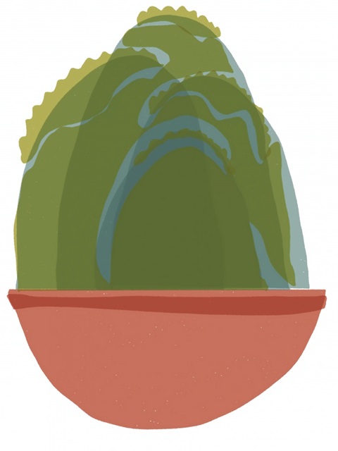 Mod Cactus III