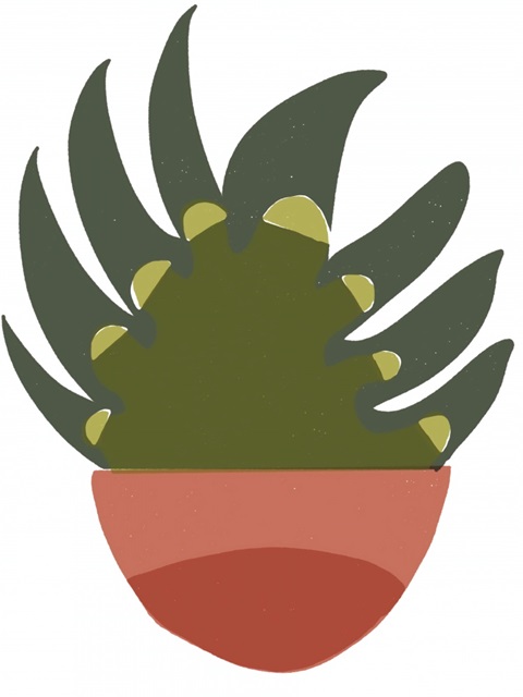 Mod Cactus IX