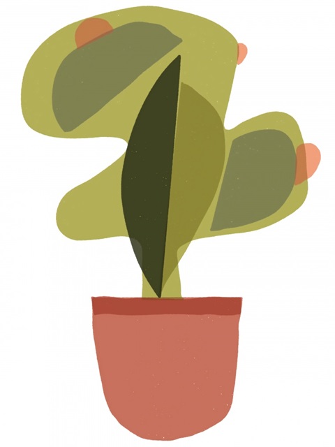 Mod Cactus V