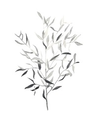 Paynes Grey Botanicals III