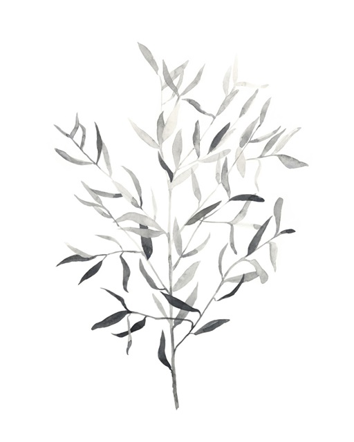 Paynes Grey Botanicals III