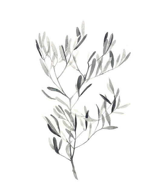 Paynes Grey Botanicals IV
