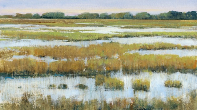 Serene Marshland I