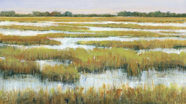 Serene Marshland II