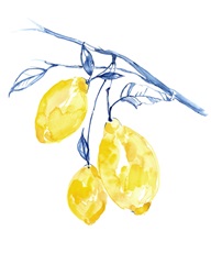 Watercolor Lemons II