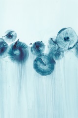 Abstract Wildflowers III