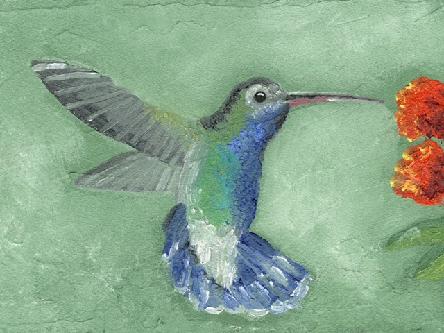 Fresco Hummingbird I