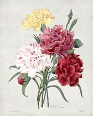 Redoute Bouquet I