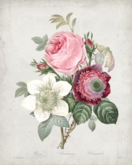 Redoute Bouquet IV