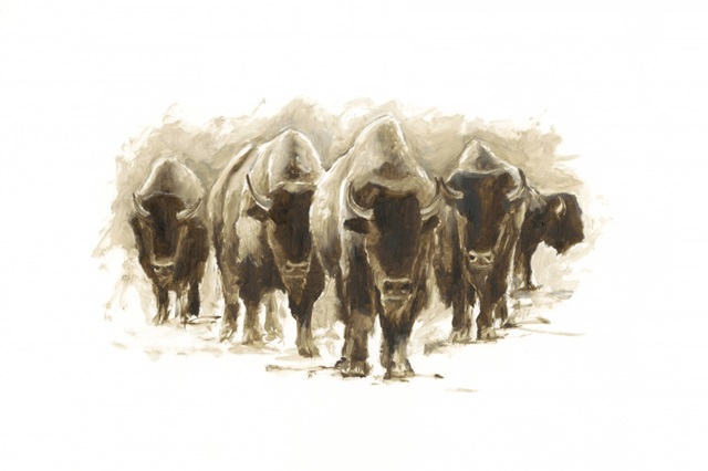 Herd of Bison I