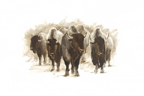 Herd of Bison II