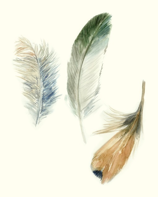 Watercolor Feathers II