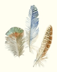 Watercolor Feathers III