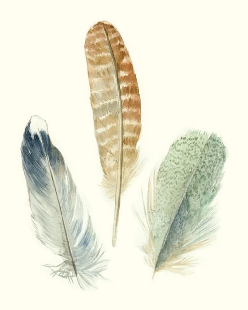 Watercolor Feathers IV