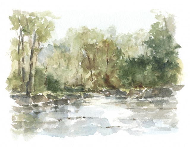 Wooded Stream II