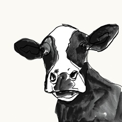 Cow Contour I