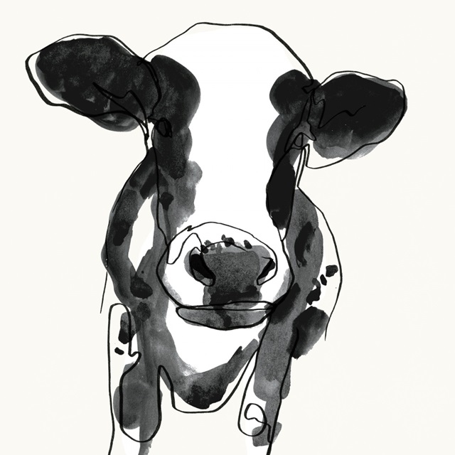 Cow Contour II