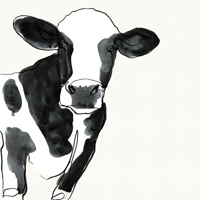 Cow Contour IV