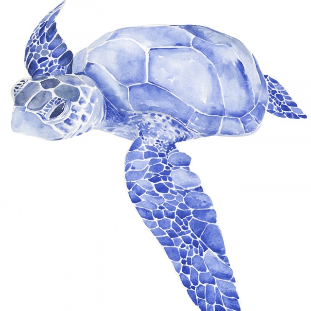 Ultramarine Sea Turtle I