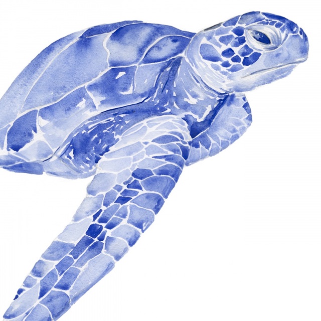 Ultramarine Sea Turtle II