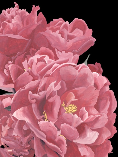 Peonies of My Heart I