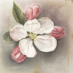 Enlightenment Blossom II