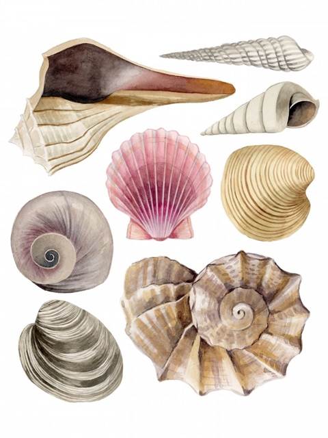 Sea Souvenirs I