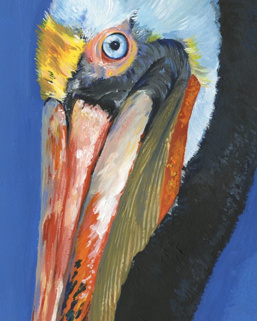 Vibrant Pelican I