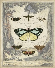Vintage Butterfly Bookplate