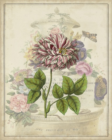 Vintage Rose Bookplate