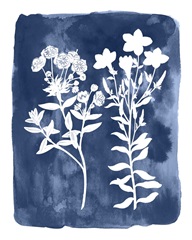 Botanical Inverse II