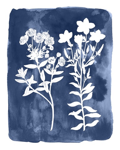 Botanical Inverse II